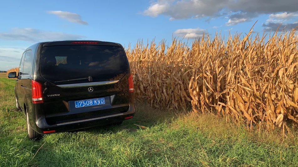 Mercedes-Benz V Class 2019 - Photo 2